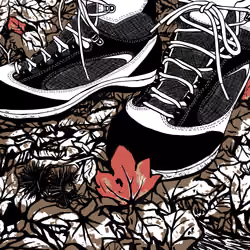 Autumn at your feet