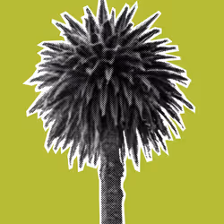 25379124807980713745219244606437574046087384809022650852355167118117981650945