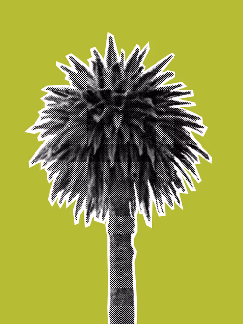 Item #25379124807980713745219244606437574046087384809022650852355167118117981650945 Media