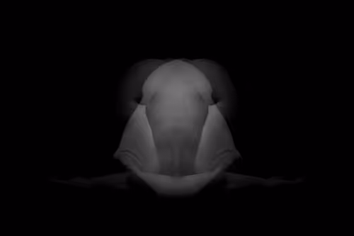 Item #24078694119739597483179371173892664508581681499738610979766924210353916084225 Media