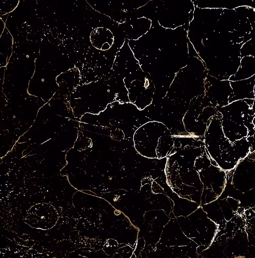 Item #72256936060036278923331537561005506622264708892264959040134690055349690433537 Media