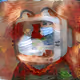 112665554047786606909552961944791799893094024110338616671638879046855171244033