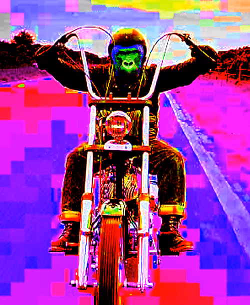 Item #86966113793369050127091850032642395415766610546514220273064902184213277573121 Media