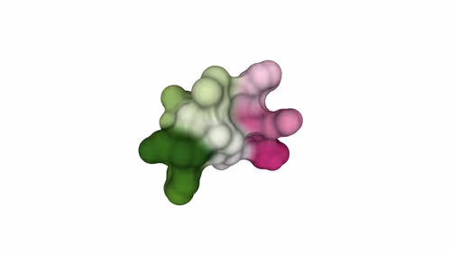 Item #47350829909543671371603060769853362682429688600975311335895424146090598858753 Media