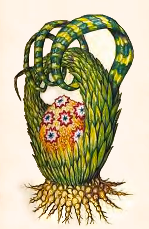 Item #78864796298763862712883292803622526859653475415382773801457426606283296866305 Media