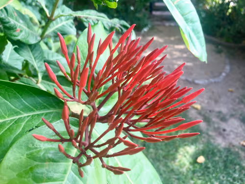 Item #68930698527264809190468656590261820993623292496804910864436067683224065671169 Media