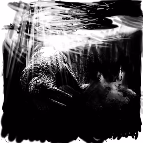 Item #64401159799852294110788508592189490104723539110011653661710012568718349959169 Media