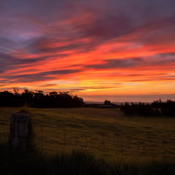 Nature's Oil Paintings (#3)