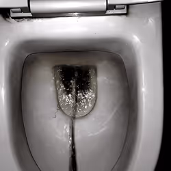 12660136923828748263426703316480839463053827608546839420335323803010040070145