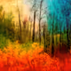 Through The Woods