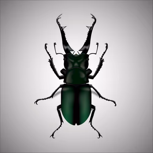 Item #15006194083360452165747859706250248338064014496976576965207407379592387756033 Media