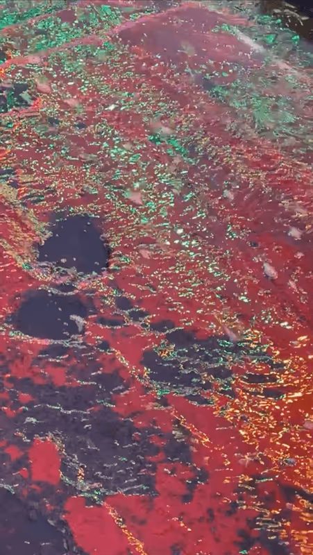 Item #62402000334580523921237358418718502457721815832787791947048085111178155524097 Media