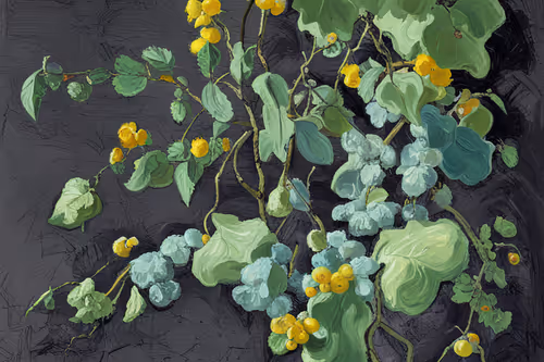 Item #53048950124327706494028849703443464629547238485288363746673802812652691390465 Media