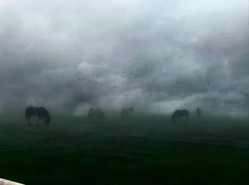 Item #88343092479397822296084357814756675938580108254574453565251426649221929893898 Media