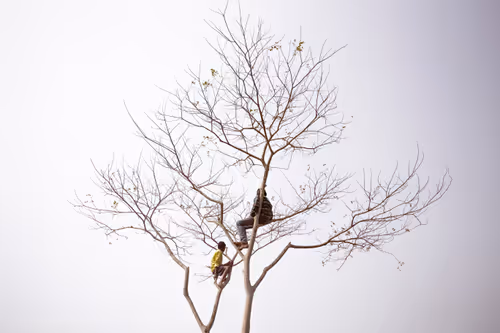 Item #14903448534982185836333129059607412223311433954982104222491105927908206575617 Media