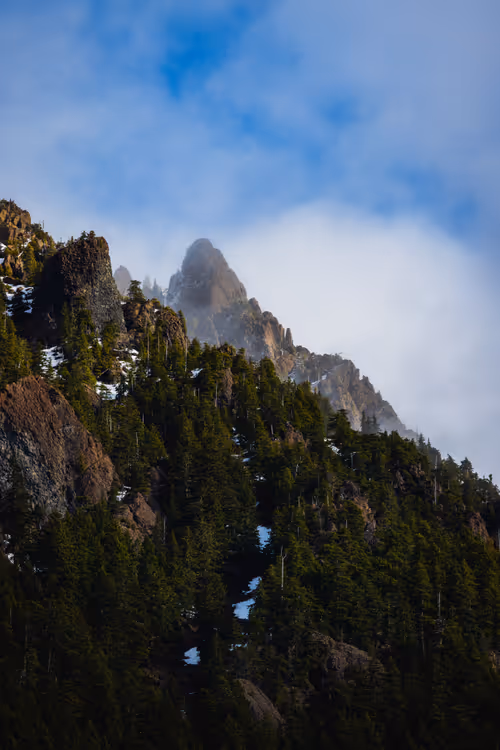 Item #68893585543807319925330967808538718473616889989347730596649157789829306515457 Media