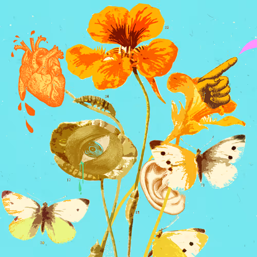 48464796124249850771290106539739105796658336187255943641253799273095311130625