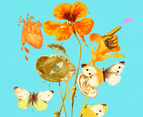 Item #48464796124249850771290106539739105796658336187255943641253799273095311130625 Media