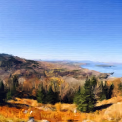 The changing of Seasons