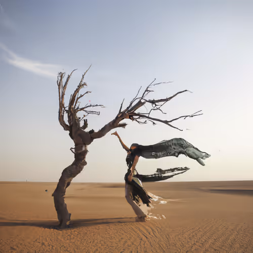 Item #46086343611545731993939719798163120067964747287164059061385651585256783872001 Media