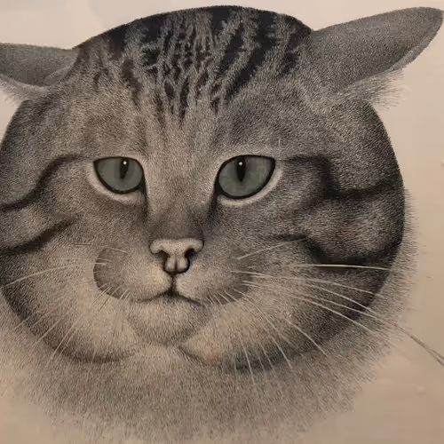 ChubCat1