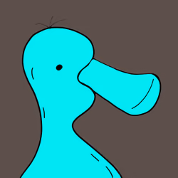 Kool Duck 22