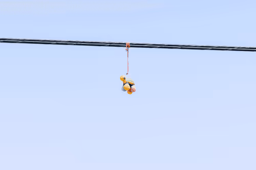 On the Wire Special Edition Collection