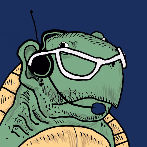 Og Turtle Hedz