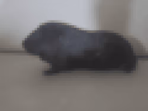 Untitled Collection #3913969116