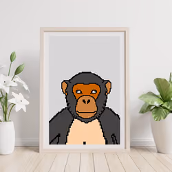 The Grey Chimp on Frame