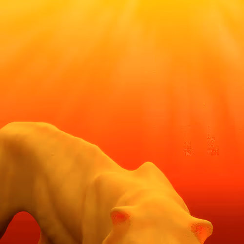 pacrimoon Collection