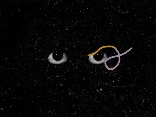 Item #54688137389352509344092767467911615879738143210533731435142059772096068714497 Media