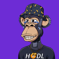 93376609951936123605323180125759602680437607784210400464464904815680254115841