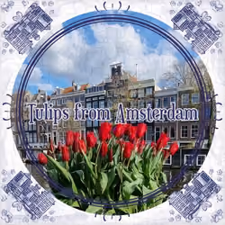 Canals Amsterdam #0037