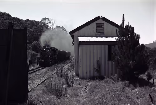 Item #17170766491500085813784528329408520152162080499931486046086089352489520332805 Media