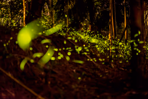 Item #15286439154353413258560728673590493507949724092509999987352070680356749049857 Media