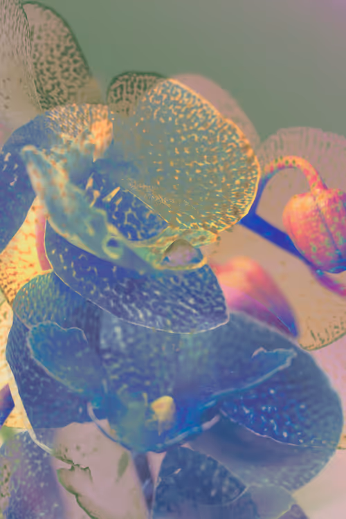 Item #98647933825971538167014356708832577938829494808882293034315128159500027035649 Media