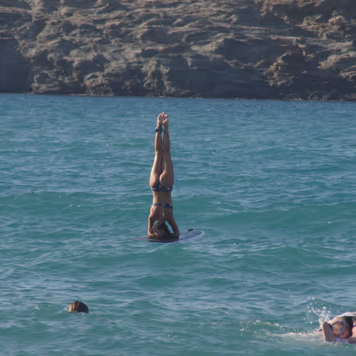 Untitled Collection #205812238