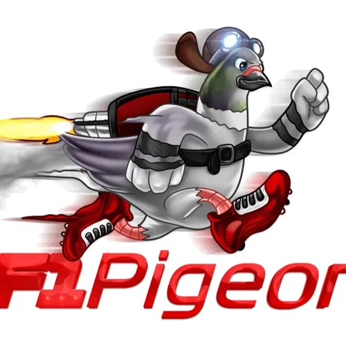 F1 Pigeon the fastest China racing pigeon on the planet!