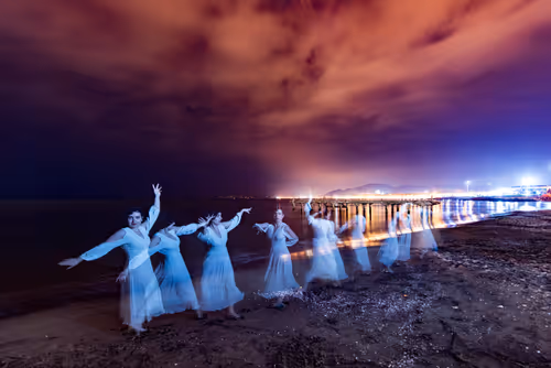 Item #103012301657456598627464593711191492996341926608798375780323323077934595440641 Media