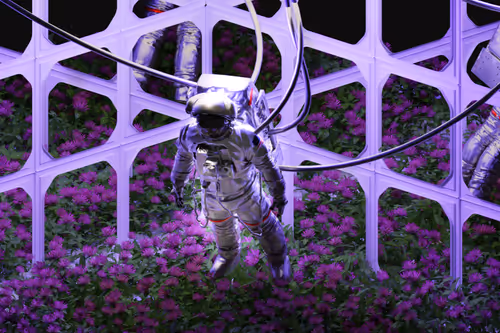 Item #93446775774324735406676727451804836517064947049855499730254837905458269782017 Media