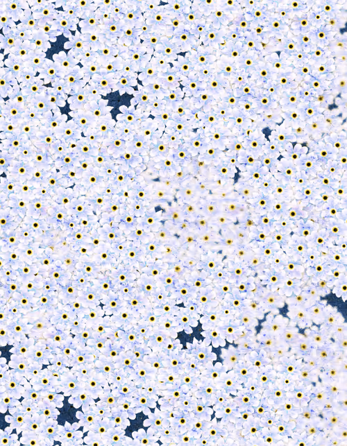 Item #2807211227970753094502405668608491016000177280909678085042862520793173065729 Media