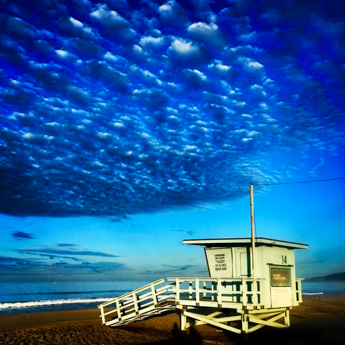 Item #93121157984406071075324851422885596818867048885505114108048767477808283779073 Media