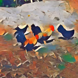 81269833061274051173789884418282317830923519221172308843662164515355933802497