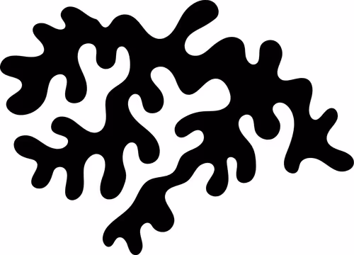 Item #5172201045882610972107259031645499727363785682079278371524297340666691715073 Media