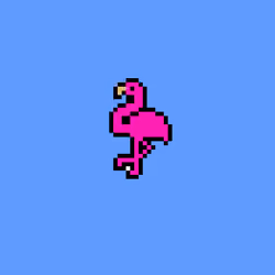 Random Flamingos #1