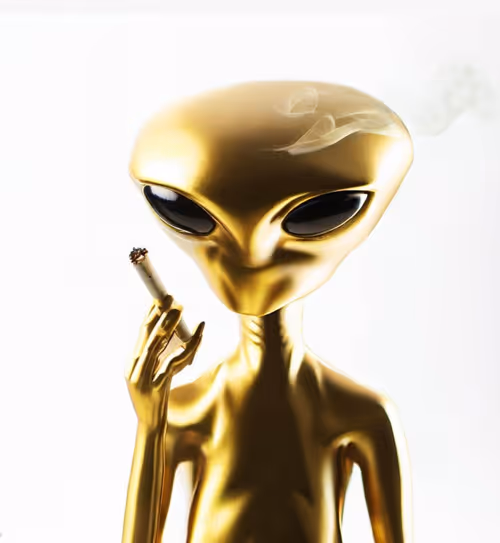 Item #14277311881460178374115963724086751935961278033824670158088343031730864652289 Media