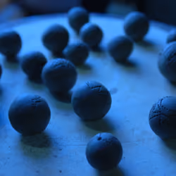 seed of seed