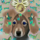 Puppy Unicorns