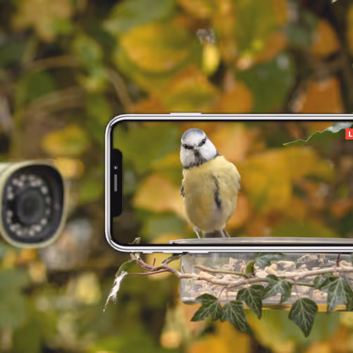 #78950930293992051448772012347213430241306264069459453135895127340816518873089